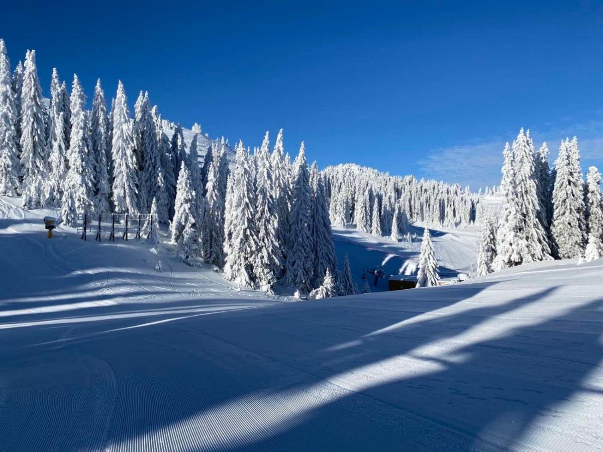 Olimpik House Jahorina Exterior foto